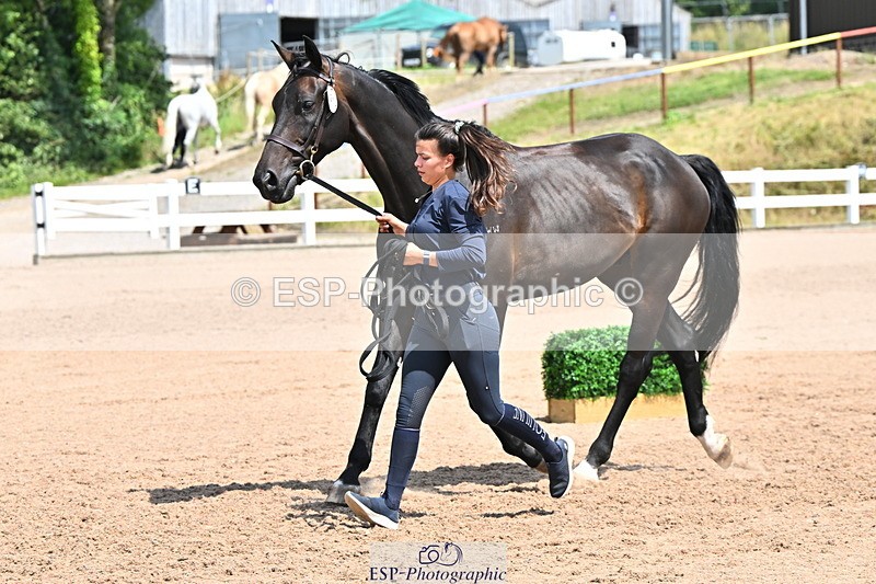 240718A-105316-01777 - Trot Up 1pm to 2pm
