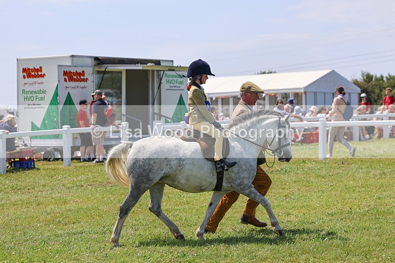 IMG_3022 - M&M Mini Ridden Championship