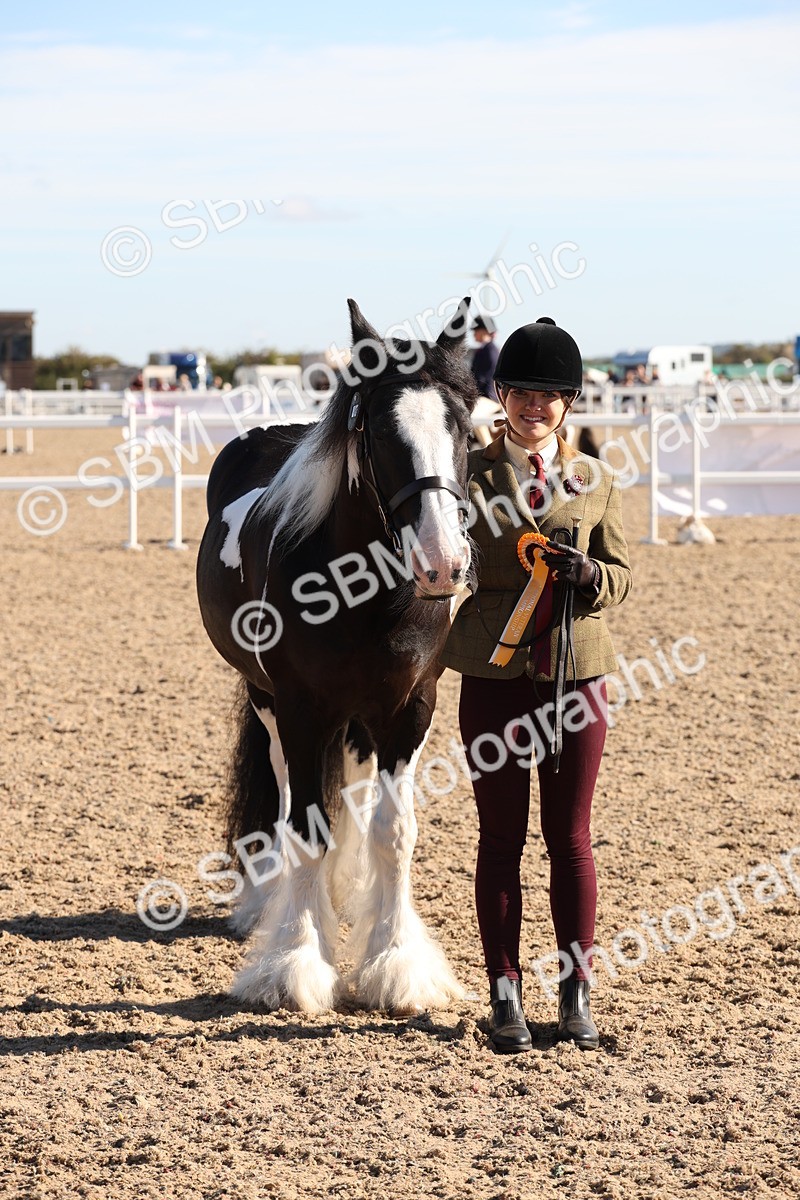 SBM_11768 - Class 204 - Young Handler 11 to 16 years