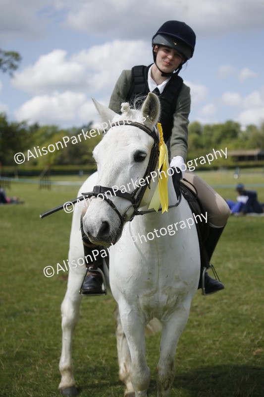 20250427-3801 - Class 14 - Absolute Novice 70cm