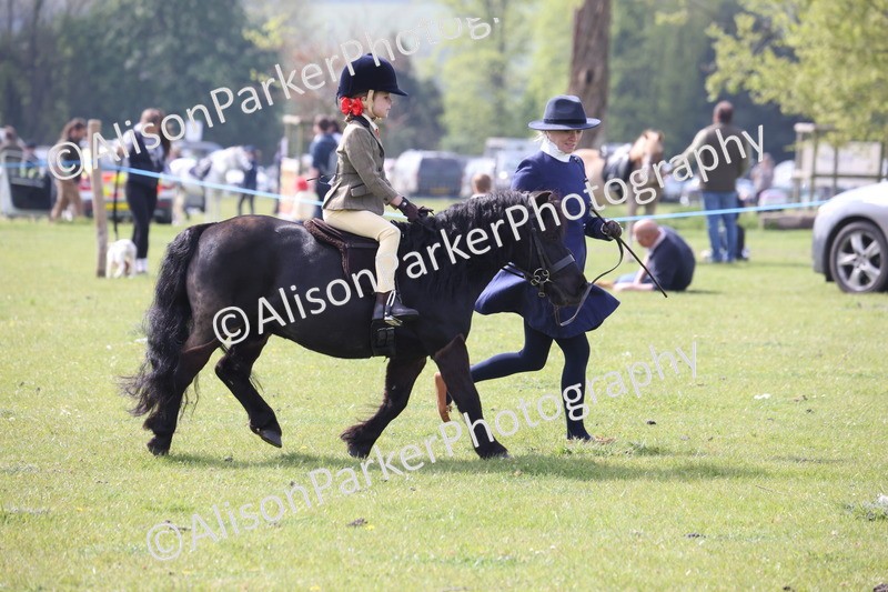 20260426-2573 - Class 31 - Leading Rein