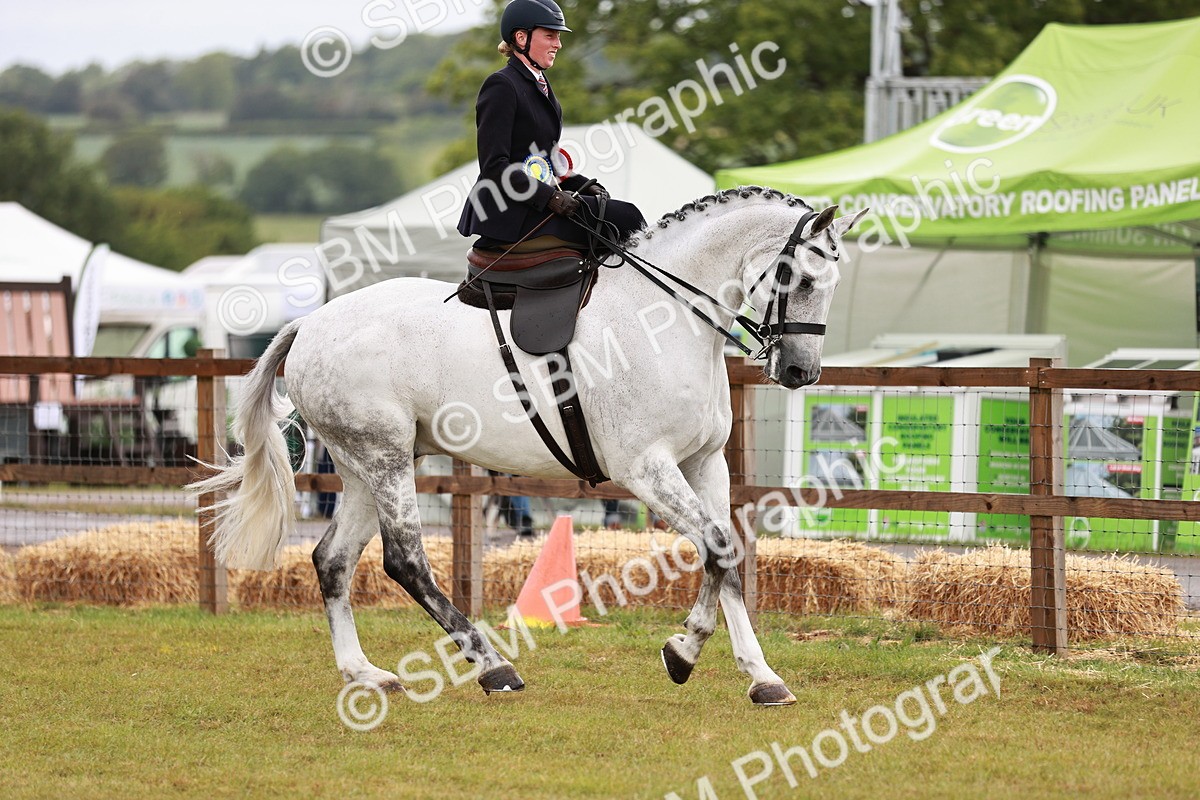 SBM_11012 - Class 81-84 - RIHS Ridden hunters Inc Ladies Hunter