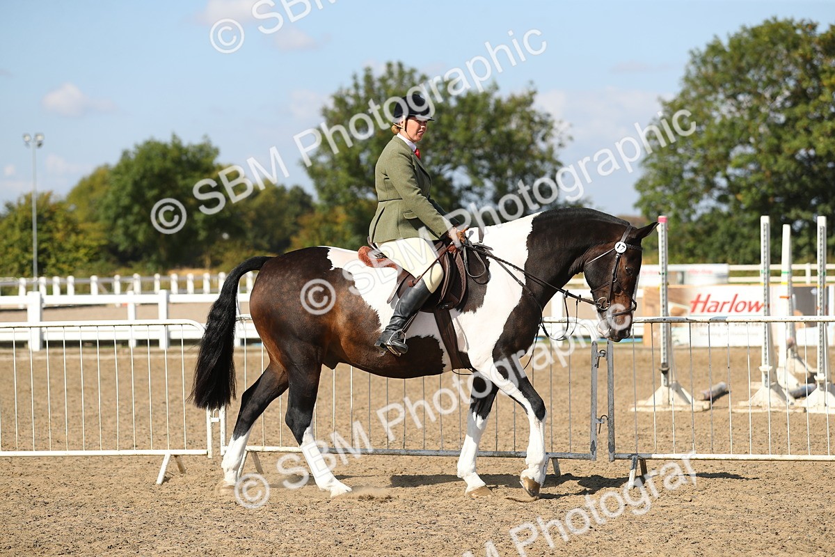 SBM_03106 - Class 44 Riding Club Horse/ Pony