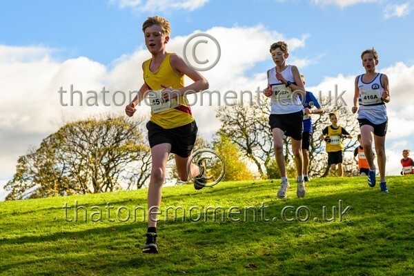 NatRel25-914257 - Young Male Set One