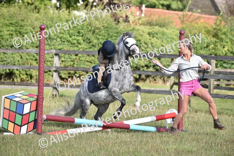 20250831-0317 - Class 6 - Minimus Jumping 30cm