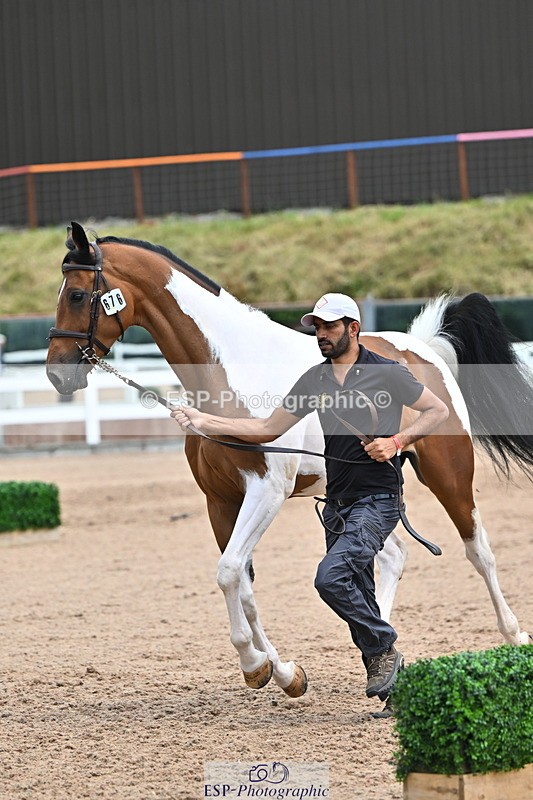 240718A-105308-01606 - Trot Up 1pm to 2pm