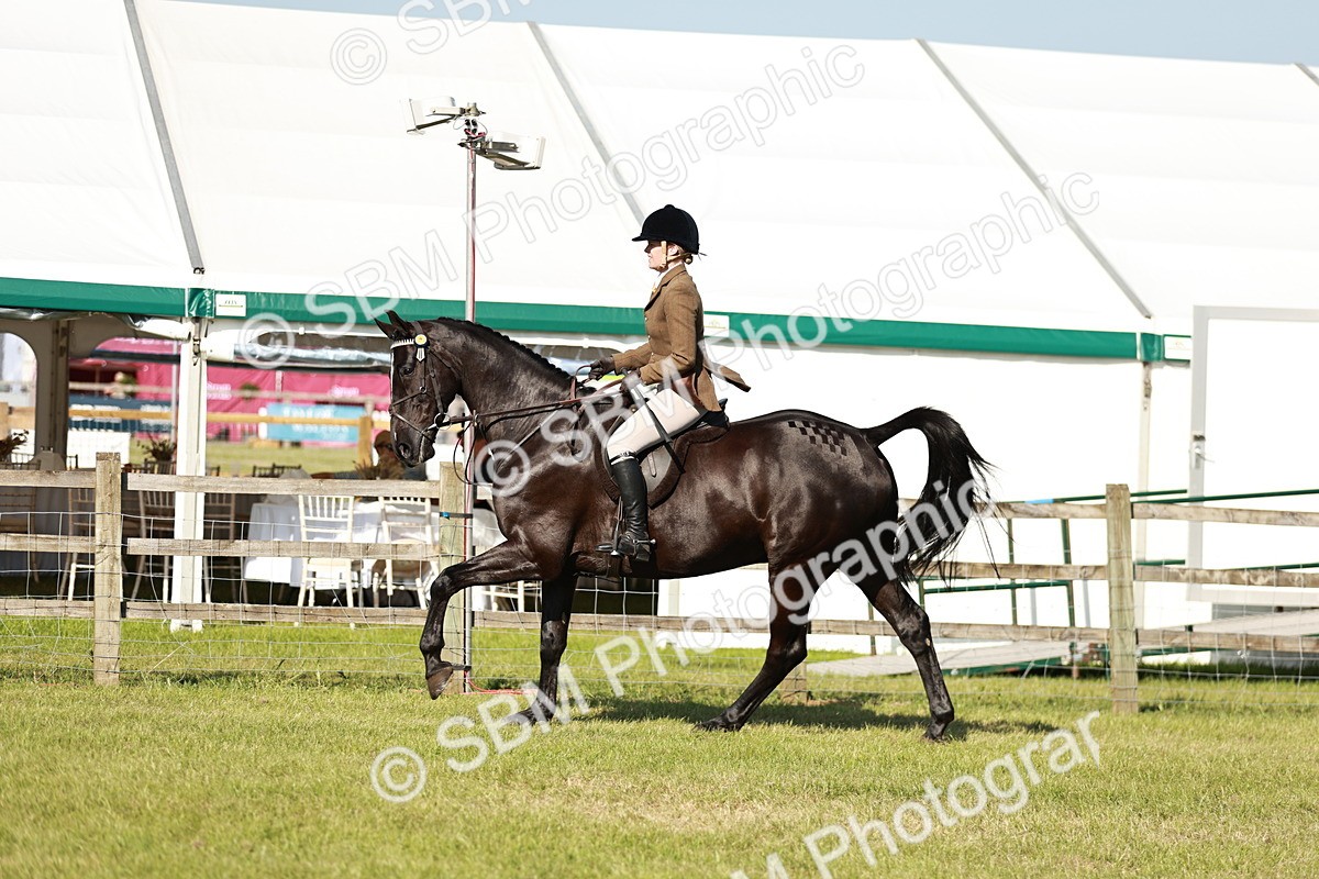 SBM_19241 - Class 115-116 - LIHS BSHA Rising Star Working Hunter & Show Horse
