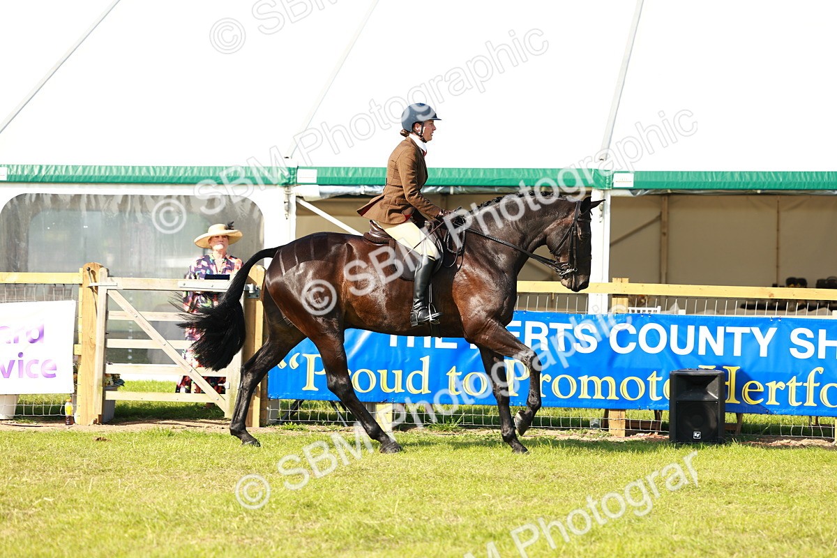 SBM_10893 - Class 66-69 - RIHS Ridden Hunters Inc Small Hunter