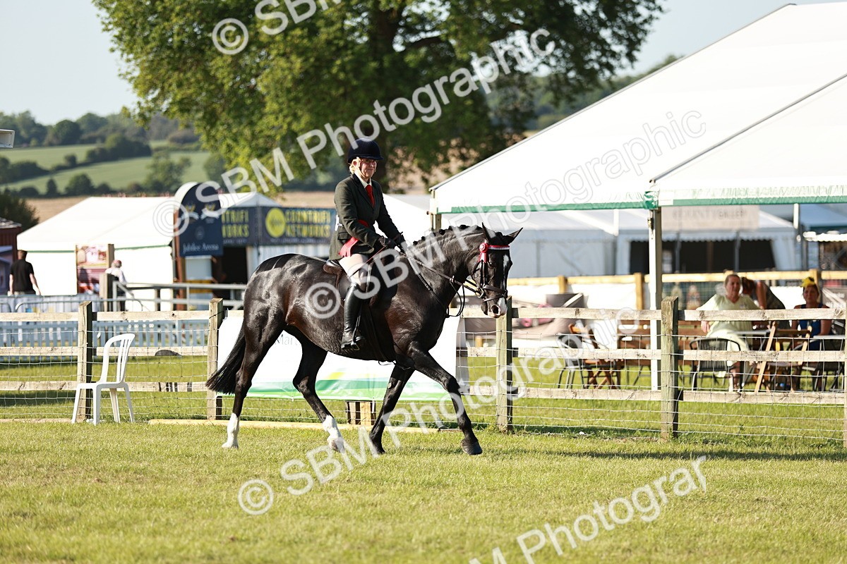 SBM_20074 - Class 115-116 - LIHS BSHA Rising Star Working Hunter & Show Horse