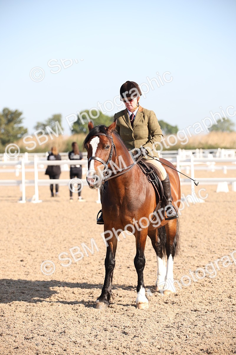 SBM_00750 - Class 14 Ridden M&M Wildcard