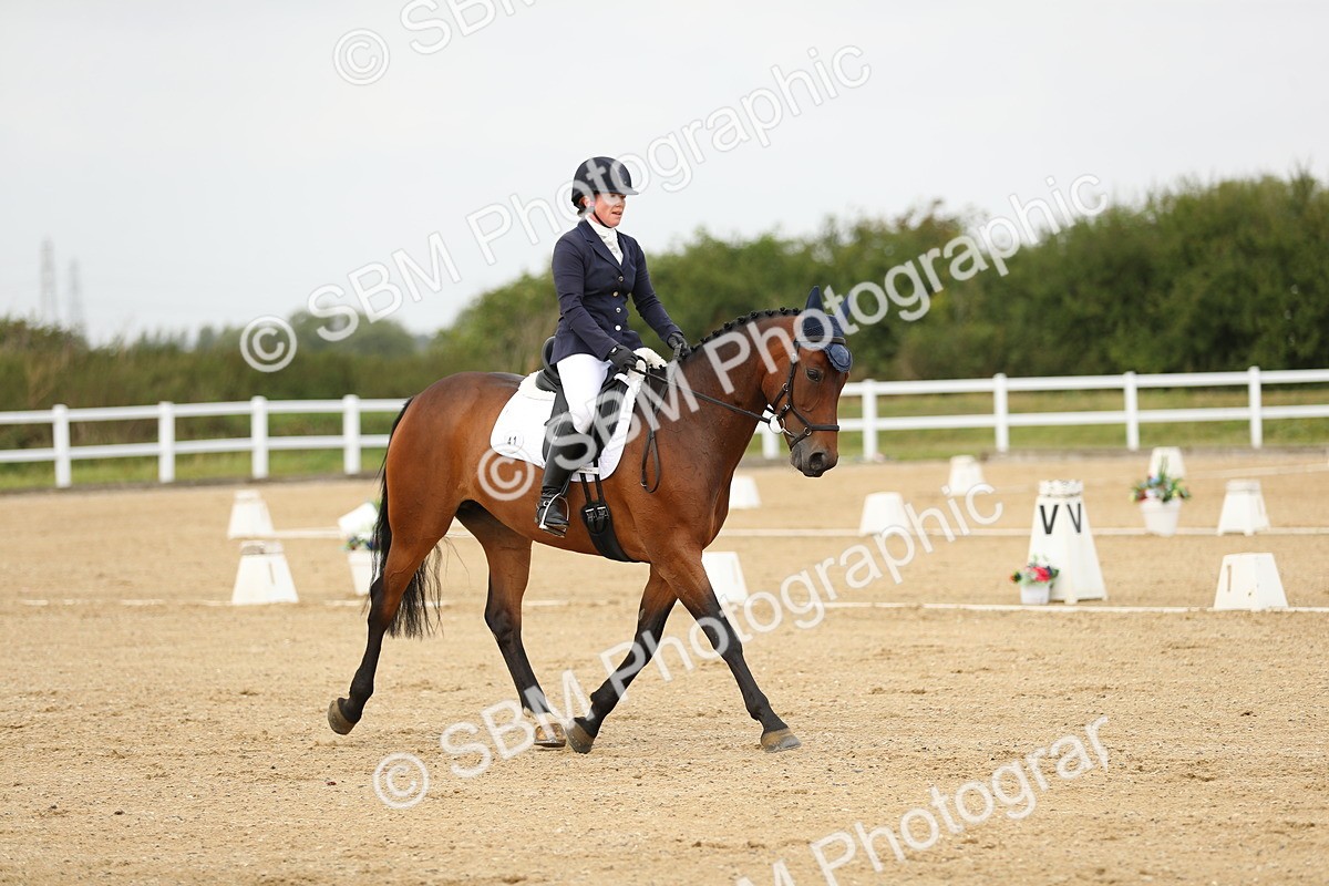 SBM_017343 - Class 13 - Novice 23 - 13.31-14.13