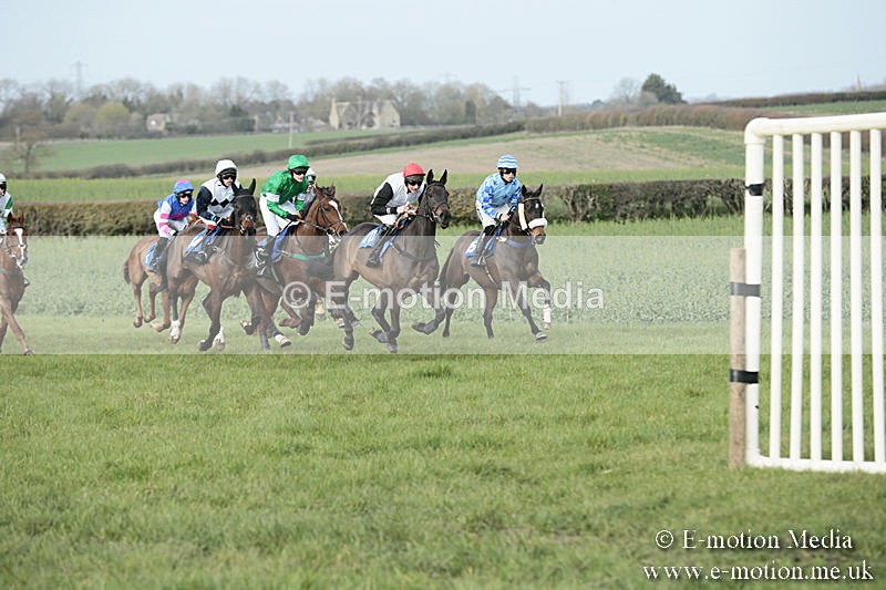 PtP 230319 418 - VWH Hunt Siddington Point-to-Point Racing 23/03/19