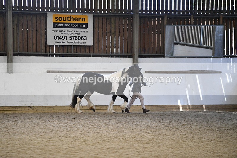 WJ5_5235 - Class 8 In hand cob