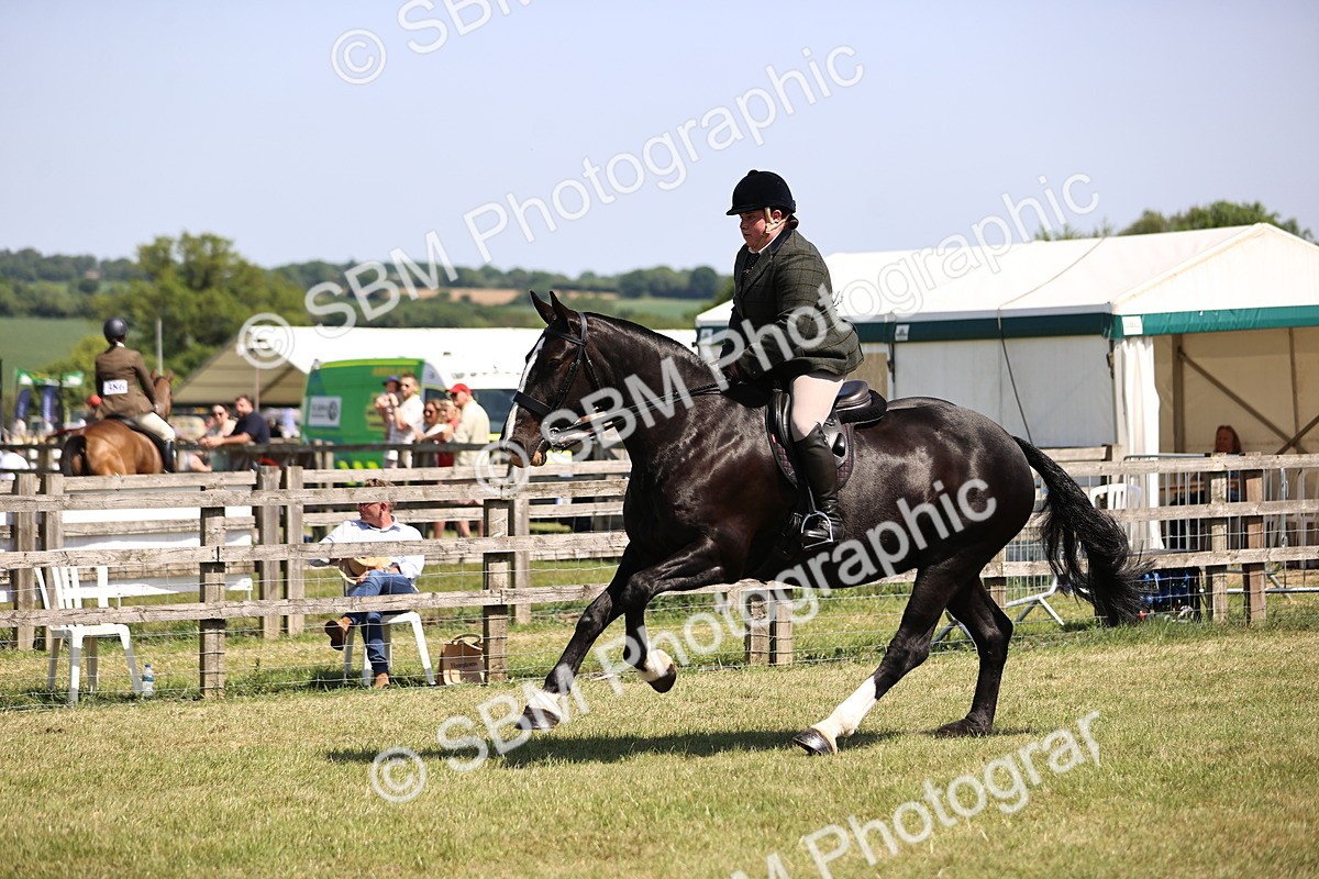 SBM_17876 - Class 81-83 - TSR Ridden Amateur of the Year - Horses
