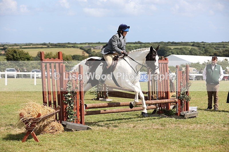 JPP_2201 - Class 19: Working Hunter 60cm