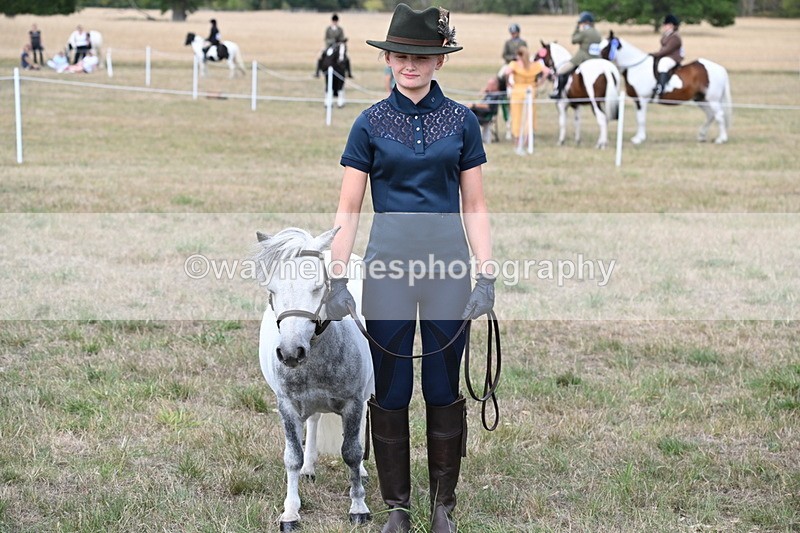 WJ6_7087 - Class 21 Shetland & Mini Horses