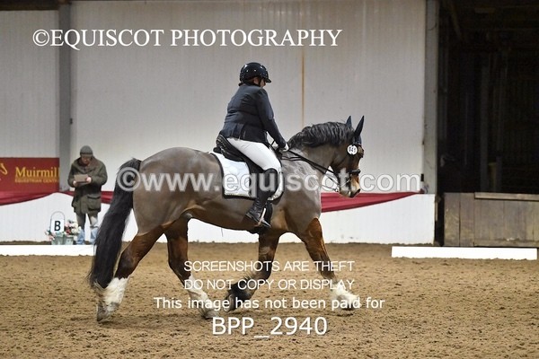 BPP_2940 - ELEM TEST 4