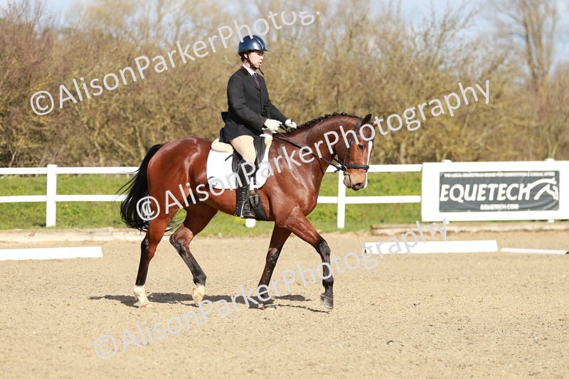 20260314-4393 - DR4 - Prelim 2