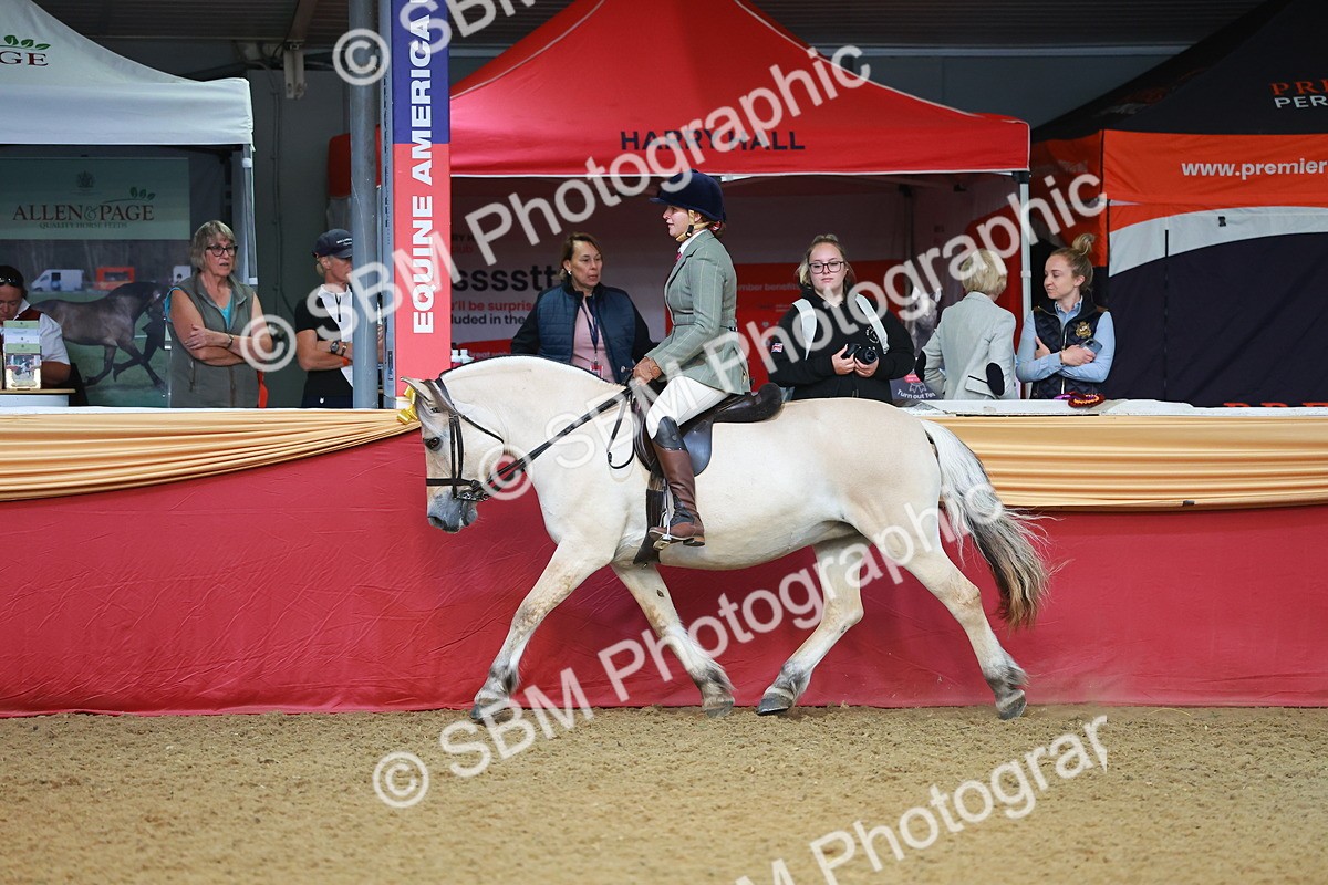 SBM_09522 - Class 102 - HOYS Veteran Qualifier - Ridden Veteran