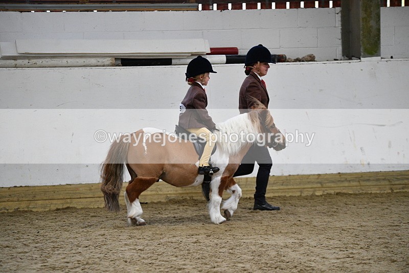 WJ5_6547 - Class 10 Childs Pony