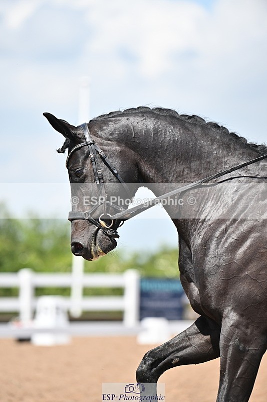 240621A-125239-02272 - Cls 7 BD Elementary 45