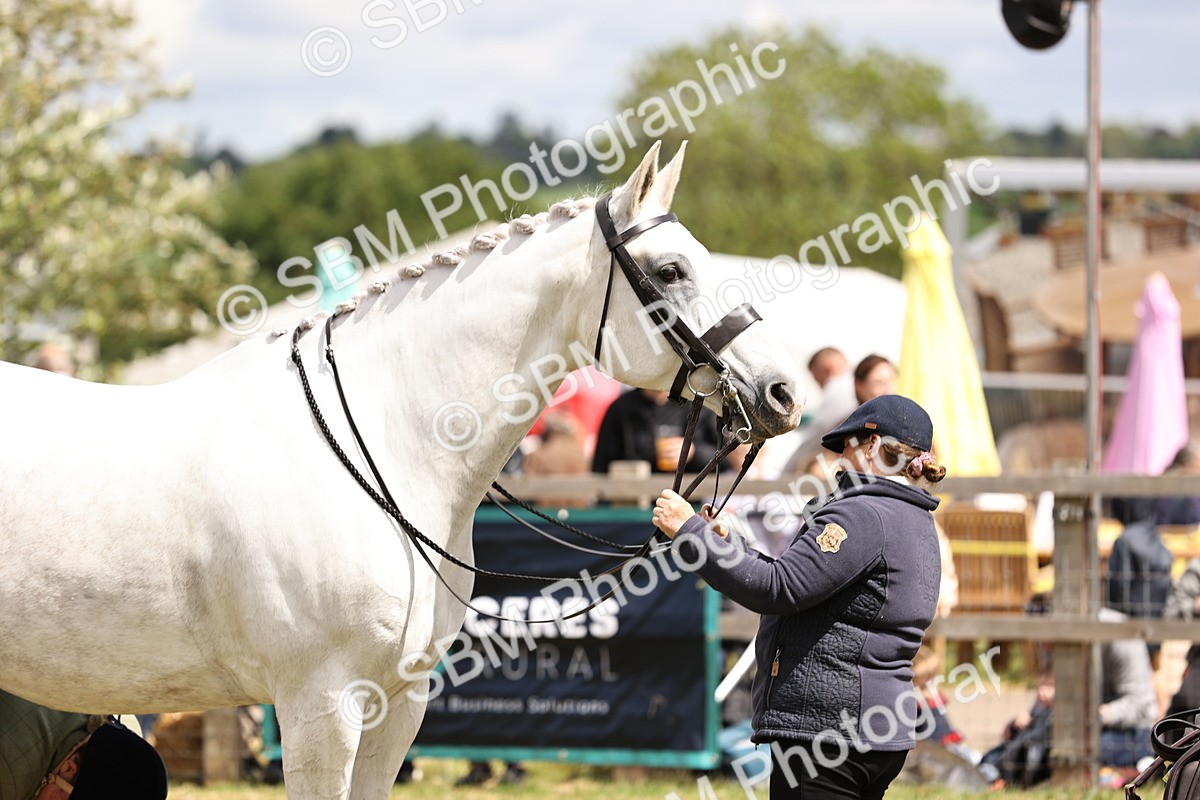 SBM_14728 - Class 88-89 - LIHS BSHA Rising Star of Ridden Hunter Type