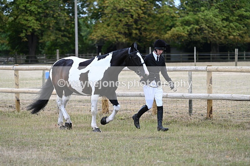 WJ7_8828 - Class 4a Prettiest Mare 14.2hh and over