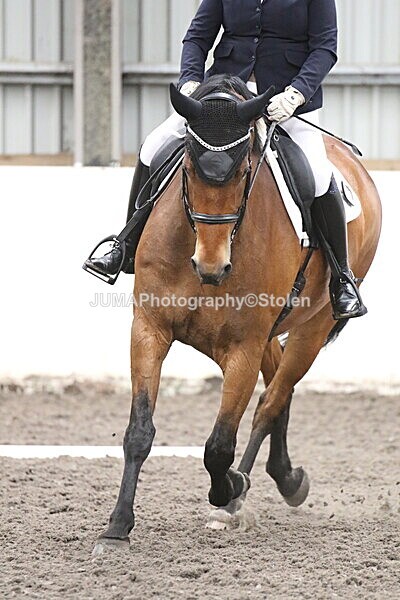 SIAL5247 - CAbin Dressage 5th july 2025