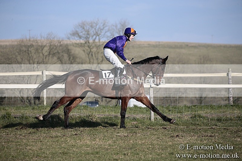 PtP 240218 338 - Vine & Craven Hunt Point-to-Point Barbury racecourse 24/02/18