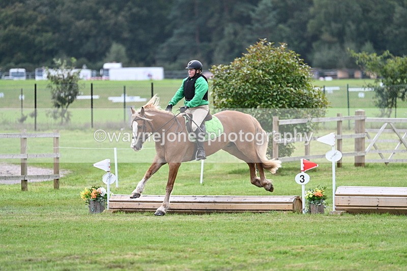 WJ7_7861 - 40cm Time 10:49 to 11:18