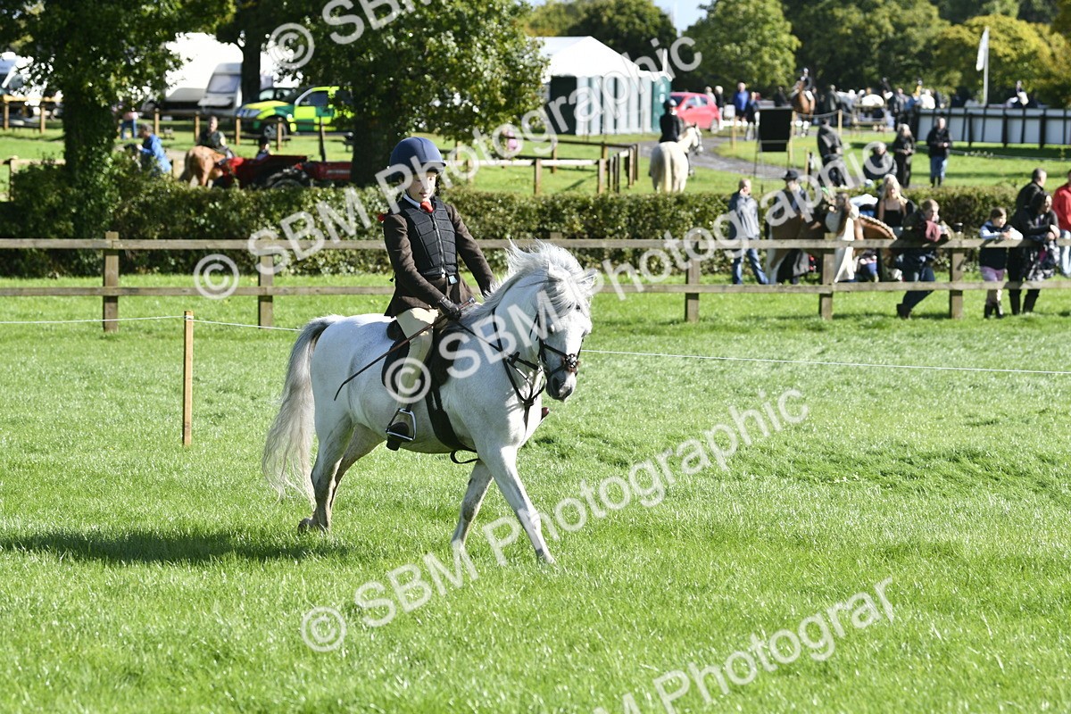 SBM_37268 - S31 - Novice & Newcomer Working Hunter Pony