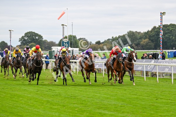 101025-Race 2-Astrazar-0117 - Race 2 British EBF £100,000 Final at York