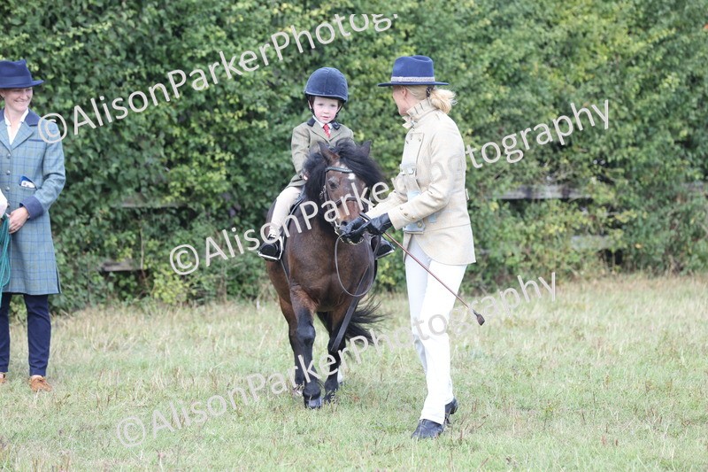 20250831-2736 - Class 17 - Lead Rein Pony