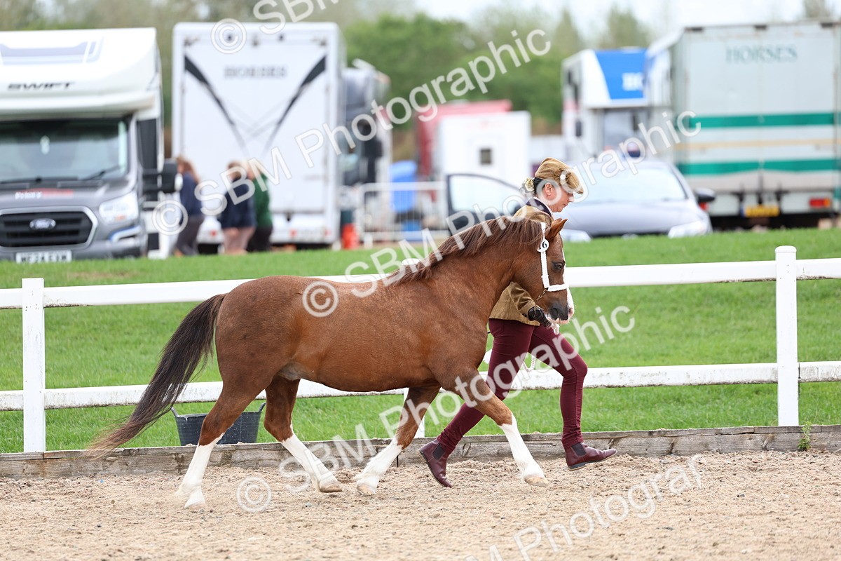 SBM_05881 - Class 29 - IH Veteran Pony