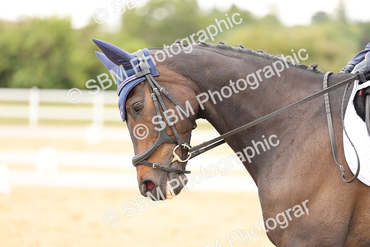 SBM_002526 - Class 6a - Novice 5 - 11.53-14.27