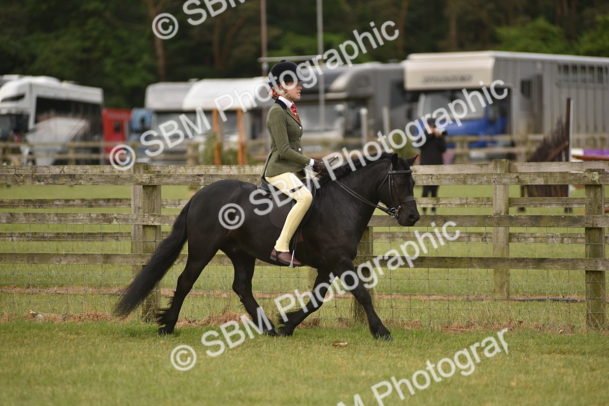 SBM_10689 - Class 110-112 - LIHS BSPS Performance Pones