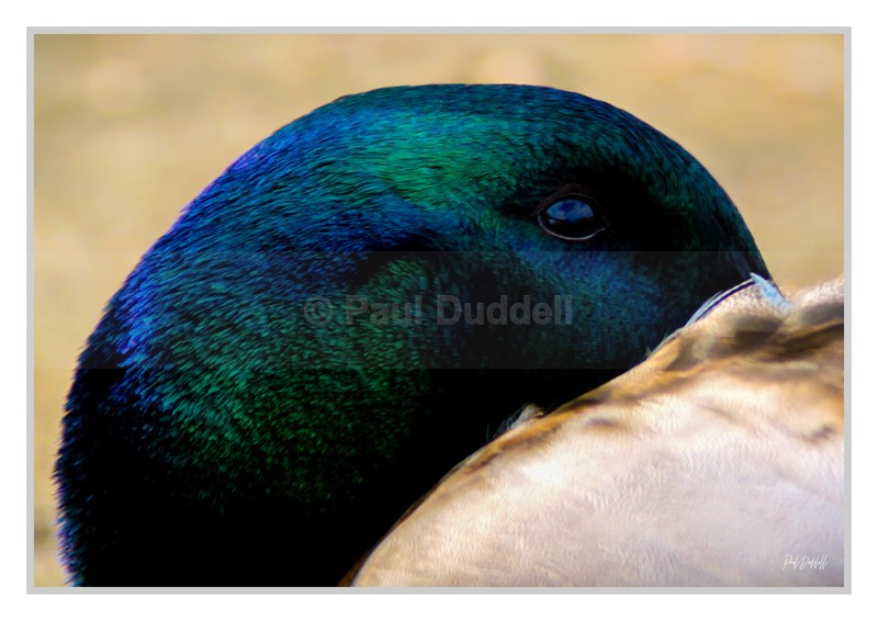 Sunrise to Sunset Fine Art Photography Print Norwich Gorleston-On-Sea by Paul Duddell-Whispers & Strokes