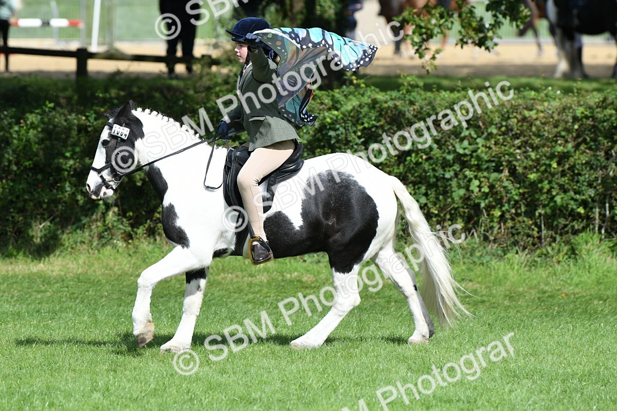 SBM_46989 - S12 - Family Horse & Pony