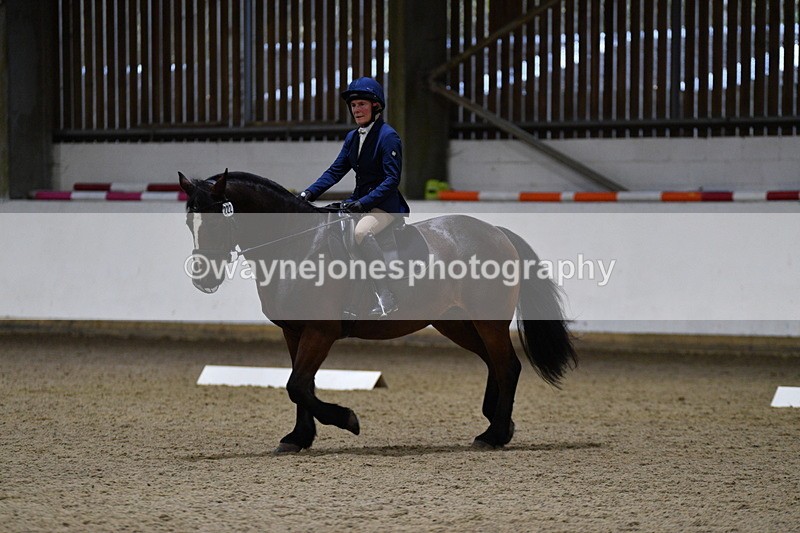 WJ5_8499 - Class 5 Novice Test 3