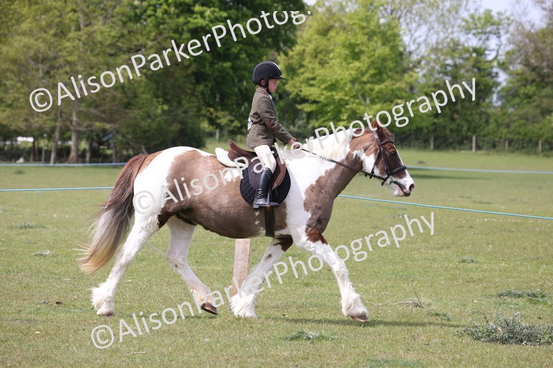 20260426-4319 - Class 34 - Best Riding Horse Over 14.2hh