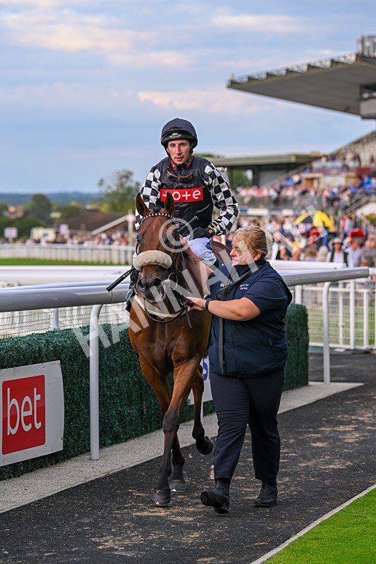 220724-Race 5-King Sharja-2015 - Race 5