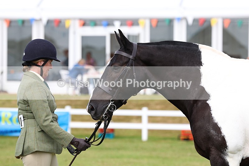 3E7A0401 - Class 6: Rising Star Maxi Cobs