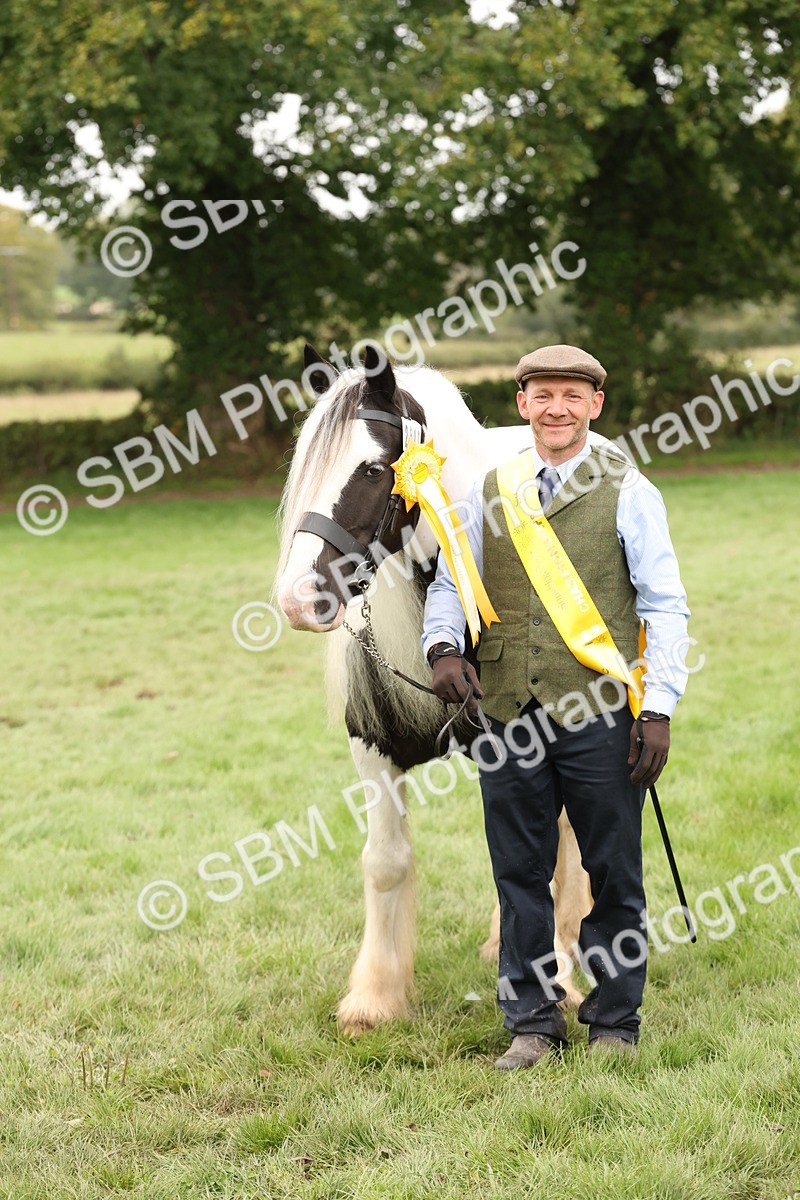 SBM_59361 - S57 - Traditional Cob In Hand