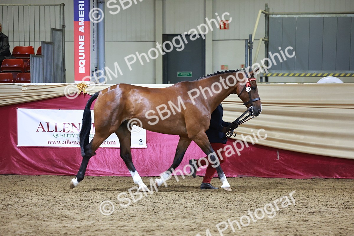 SBM_20627 - Class I - Ridden Pony Champ