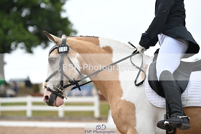 250705-115143-01801 - P2 Sections BDP2SNR, BDP2JNR 11.02 to 12.12