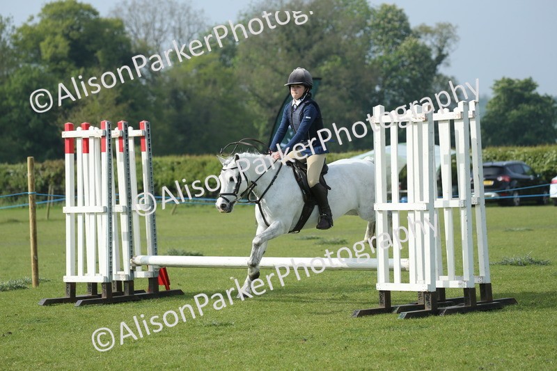 20260426-0110 - Class 13 - Rookie Jumping 50cm