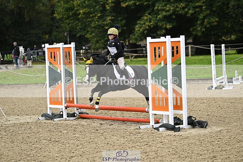 251005A-082428-02770 - Cls 01 GR 40cm