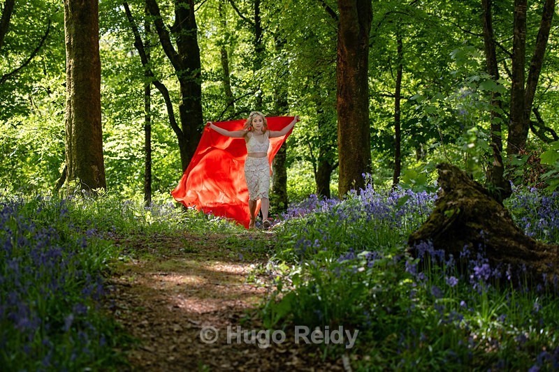  - Dalilah in Bluebells