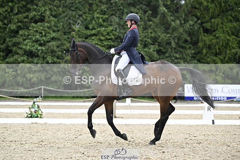 000101-204039-04181 - 413-BROOKFIELD_QUALITY-Tom_McEwen