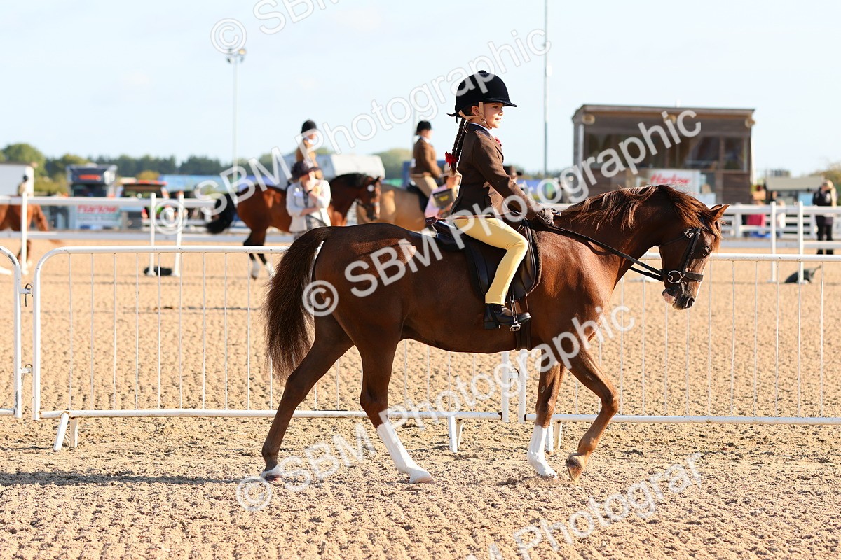 SBM_08130 - Class 202 - Best Turned Out -  Ridden